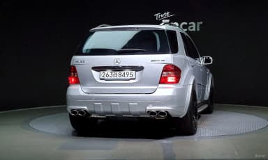 M-Class W164