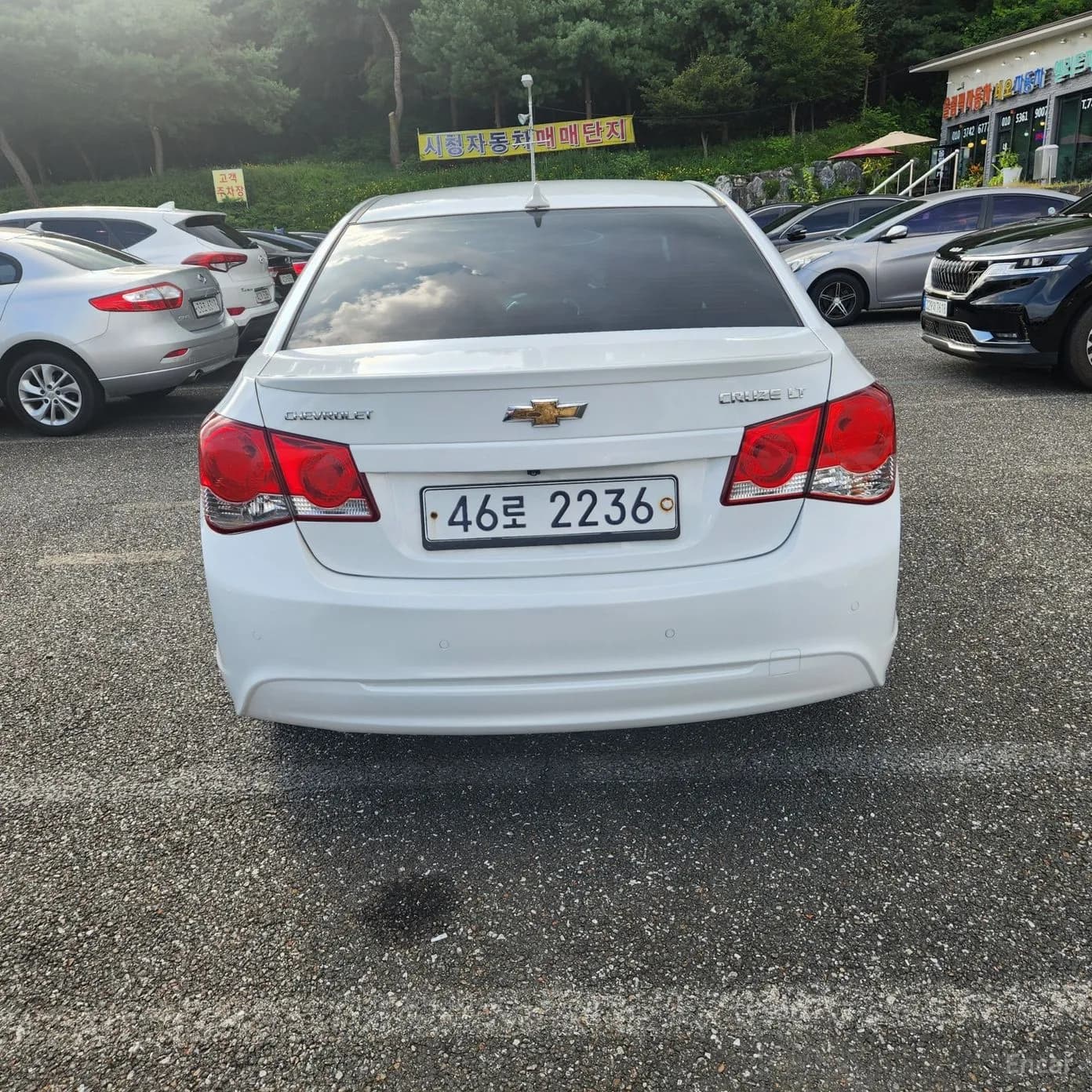 Cruze
