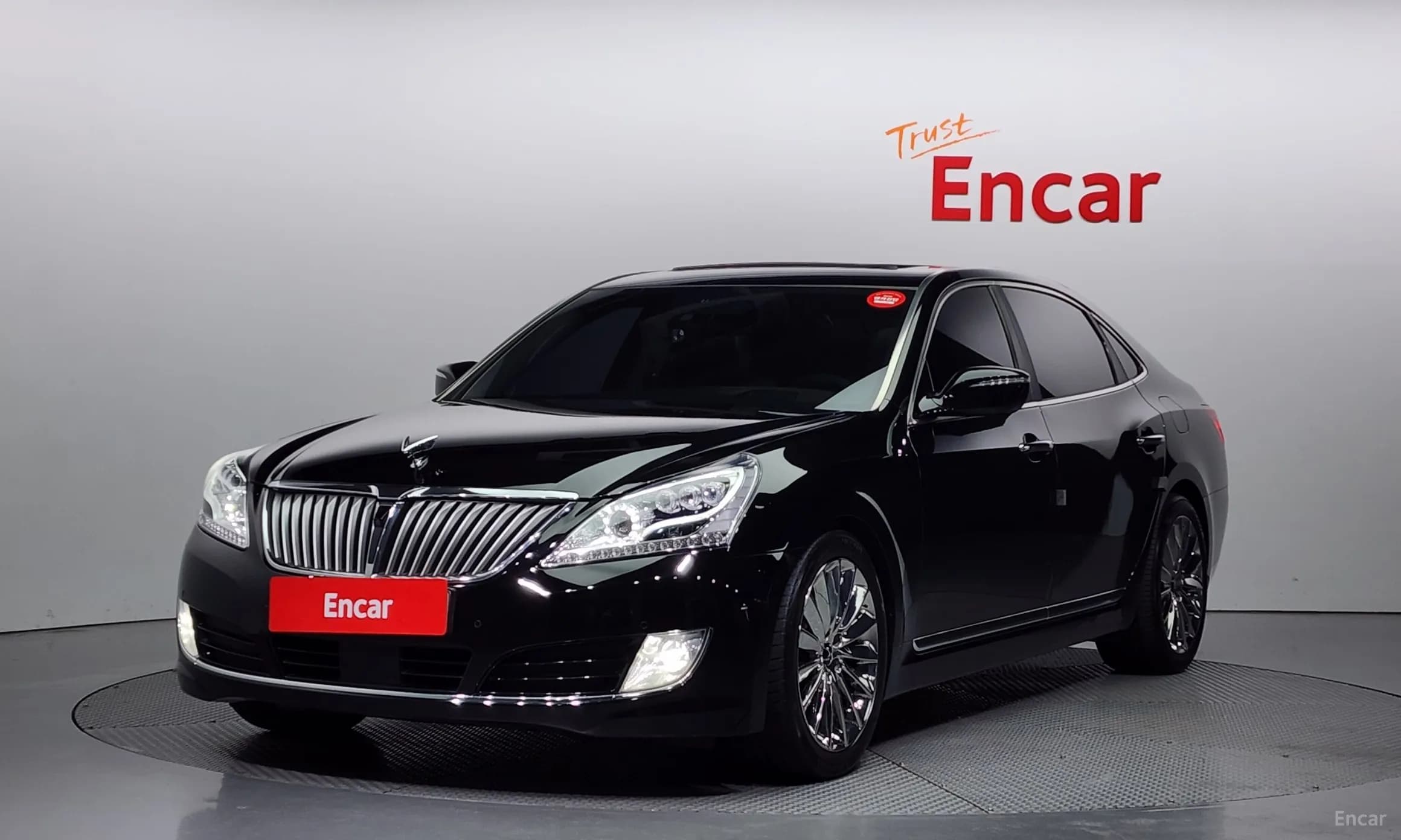 Equus (new)