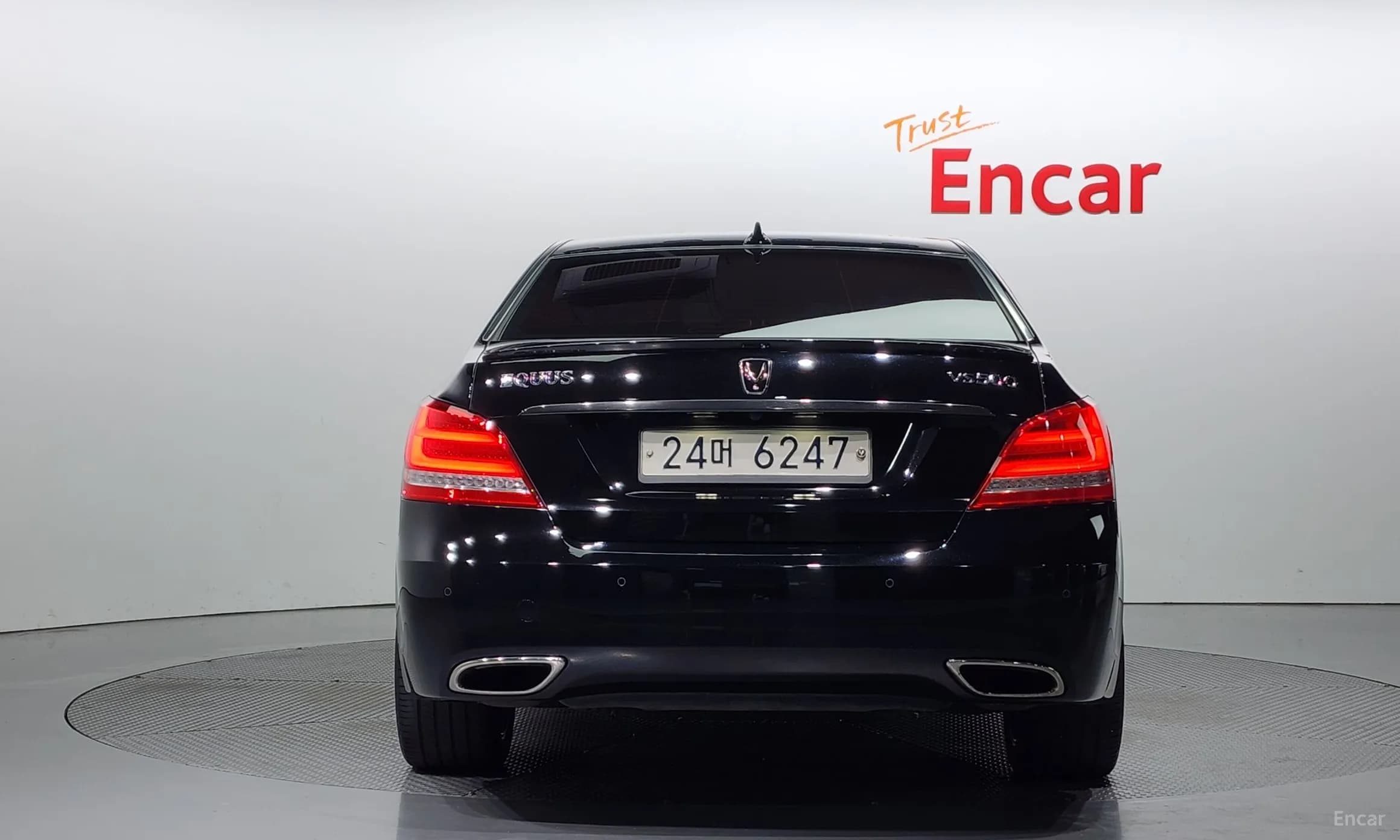 Equus (new)