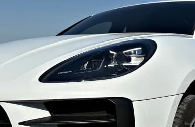 Macan