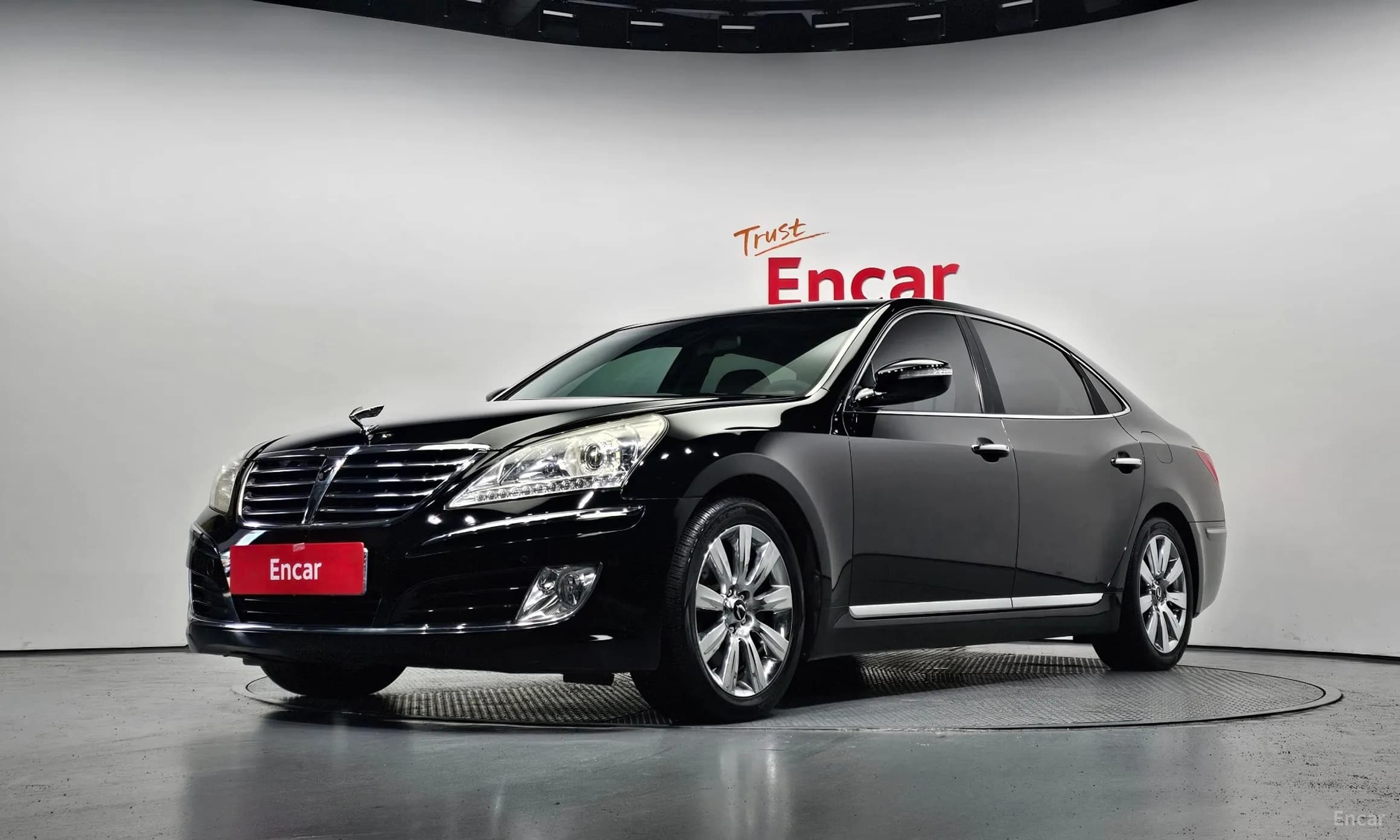 Equus (new)