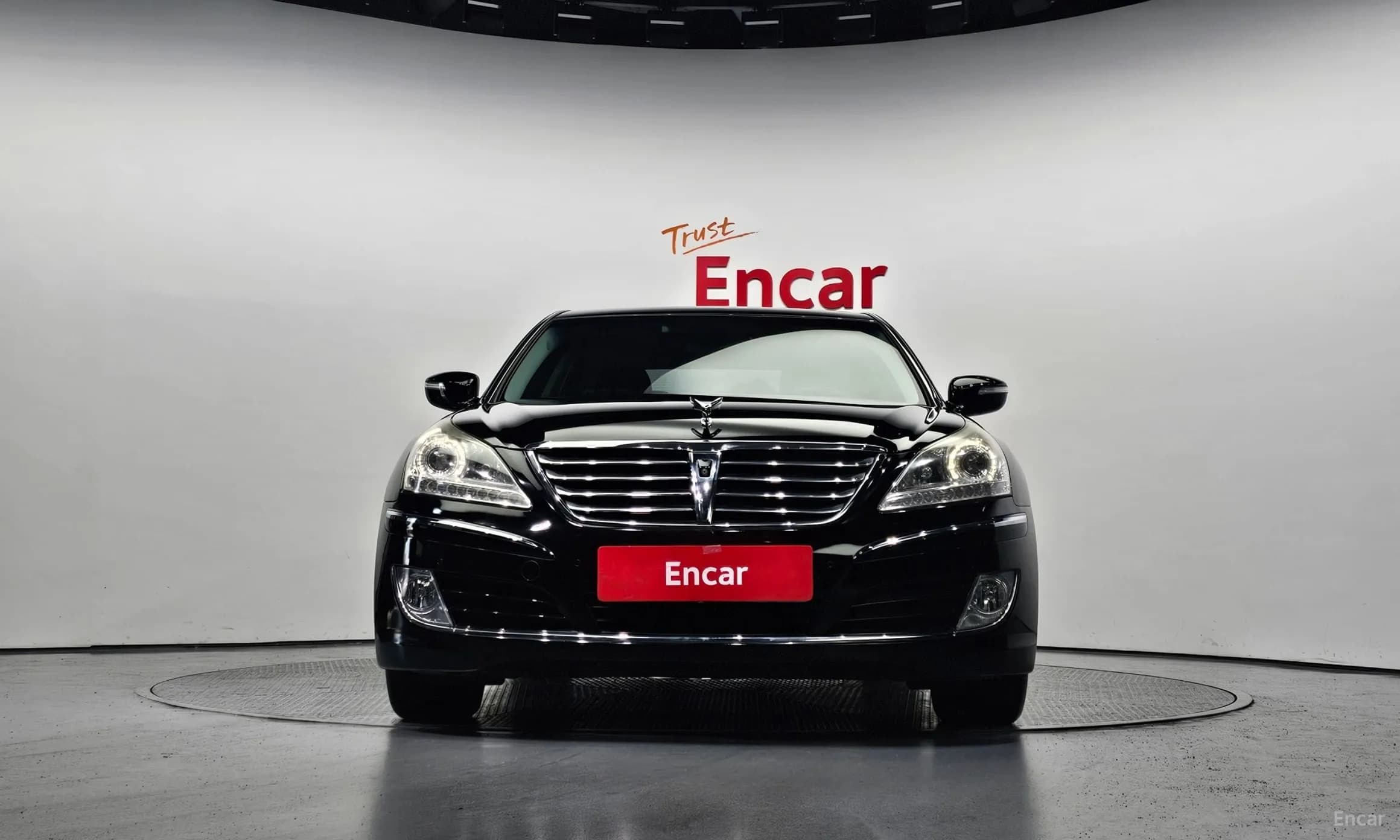 Equus (new)