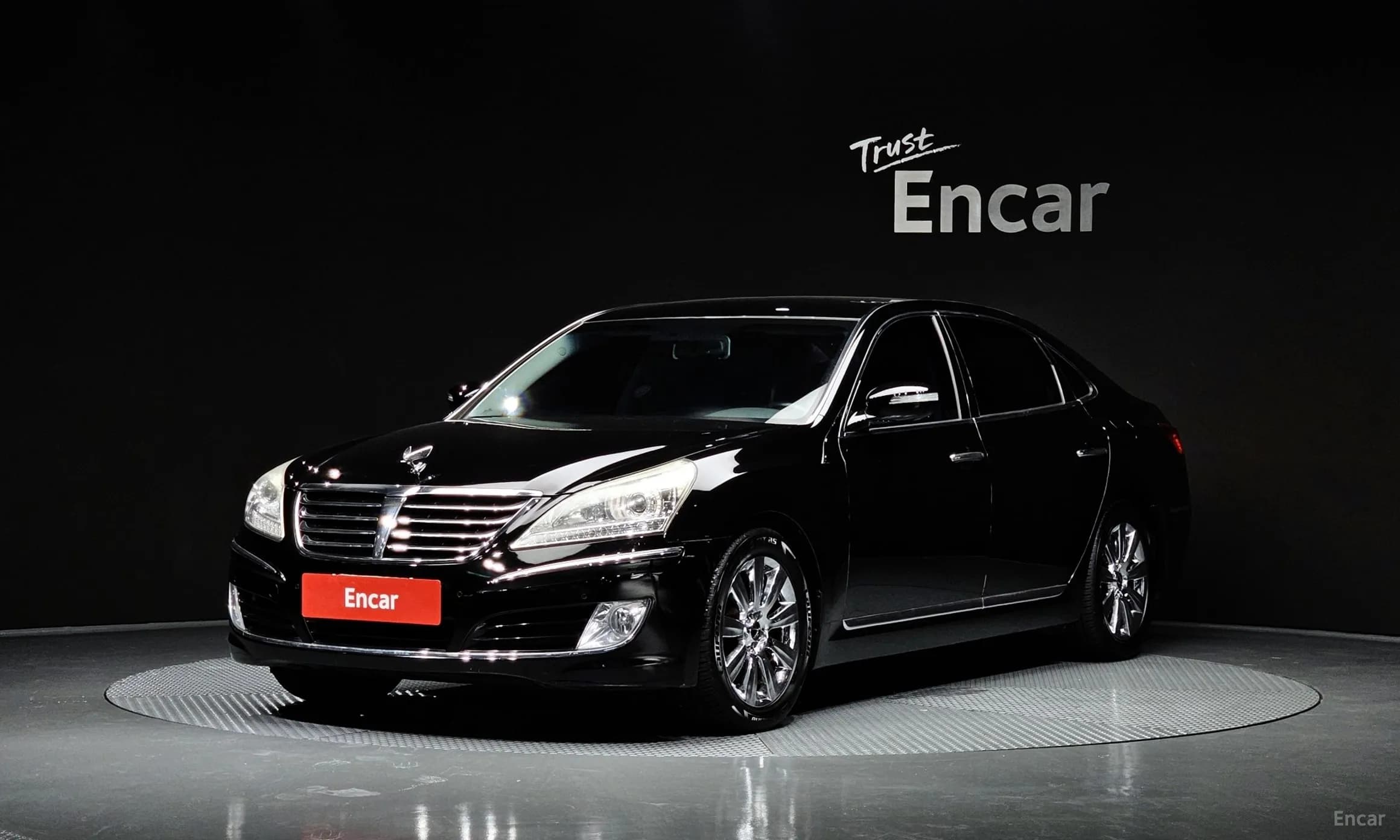 Equus (new)