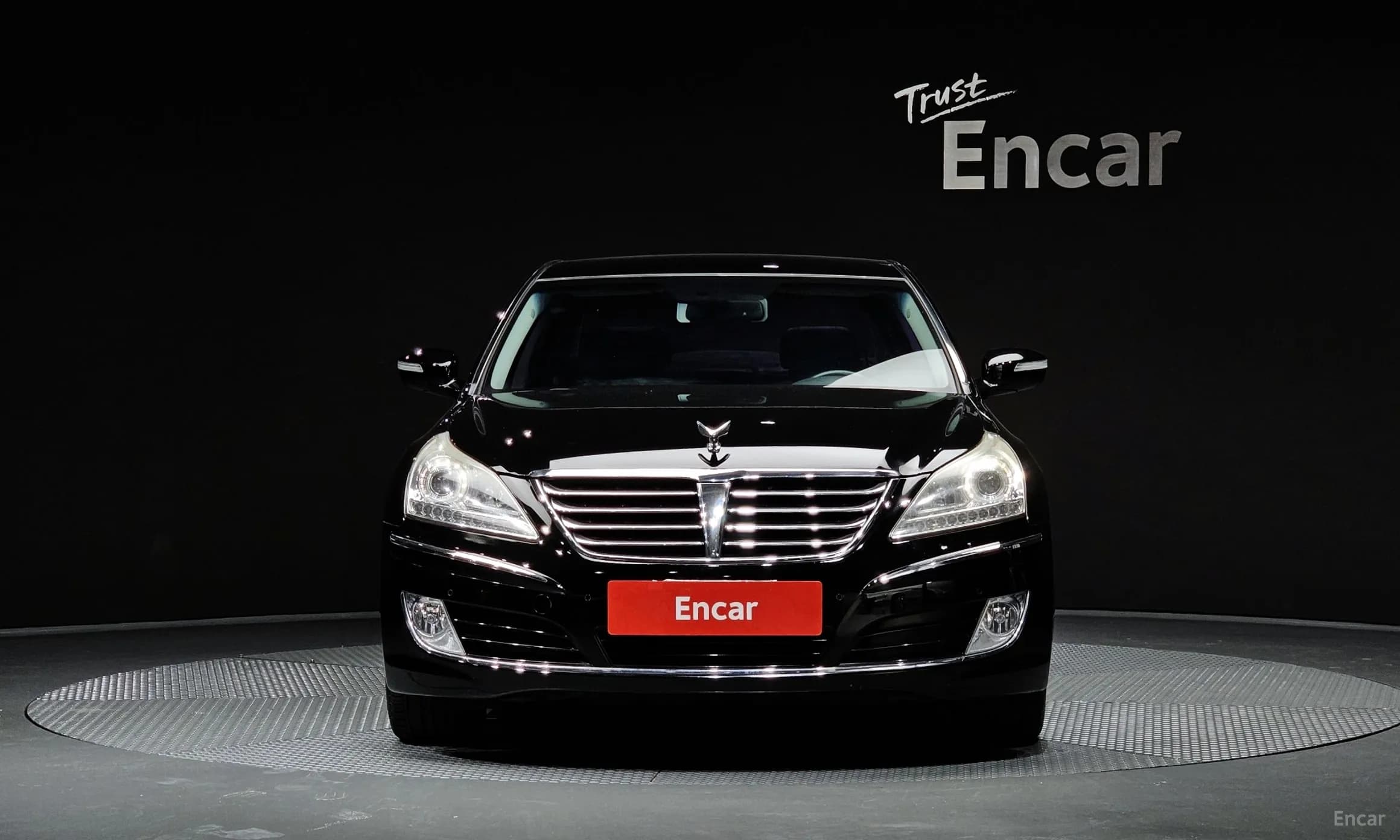 Equus (new)