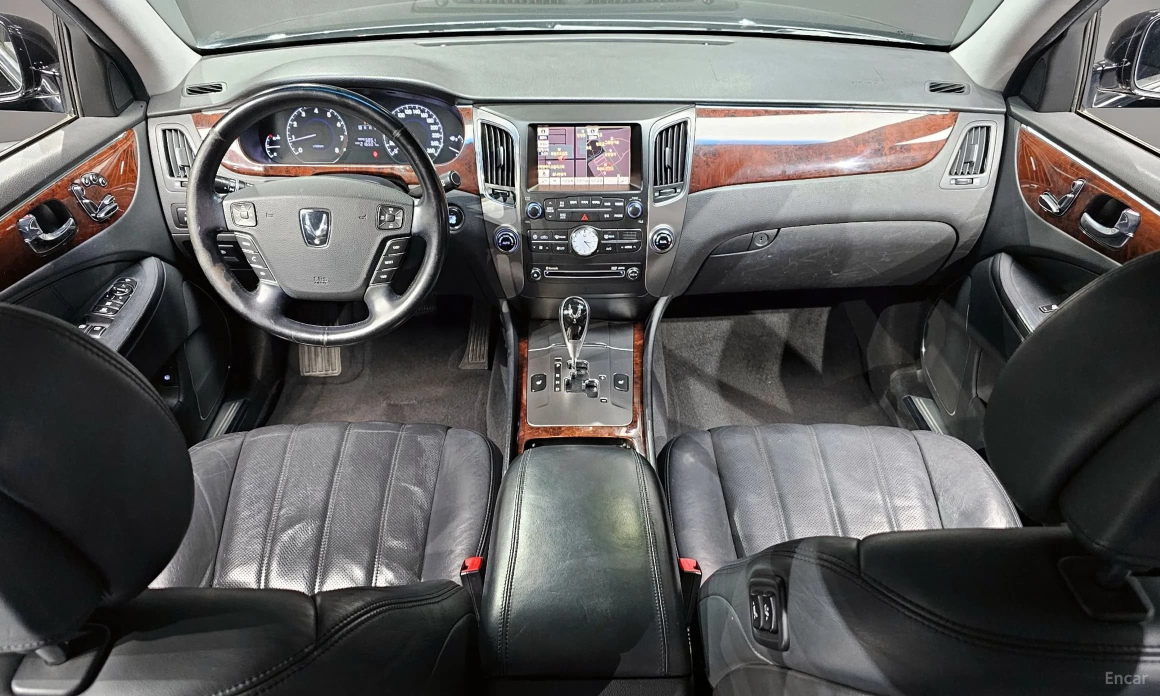 Equus (new)