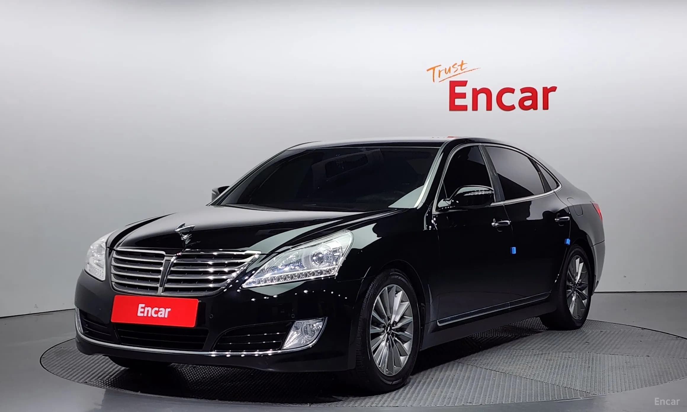 Equus (new)