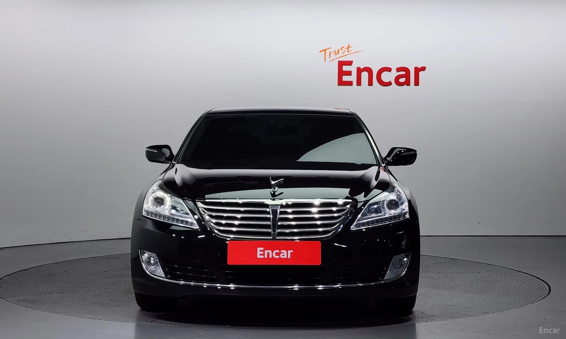 Equus (new)