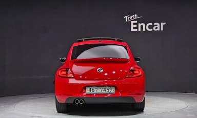 The Beetle