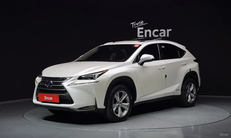 NX300h