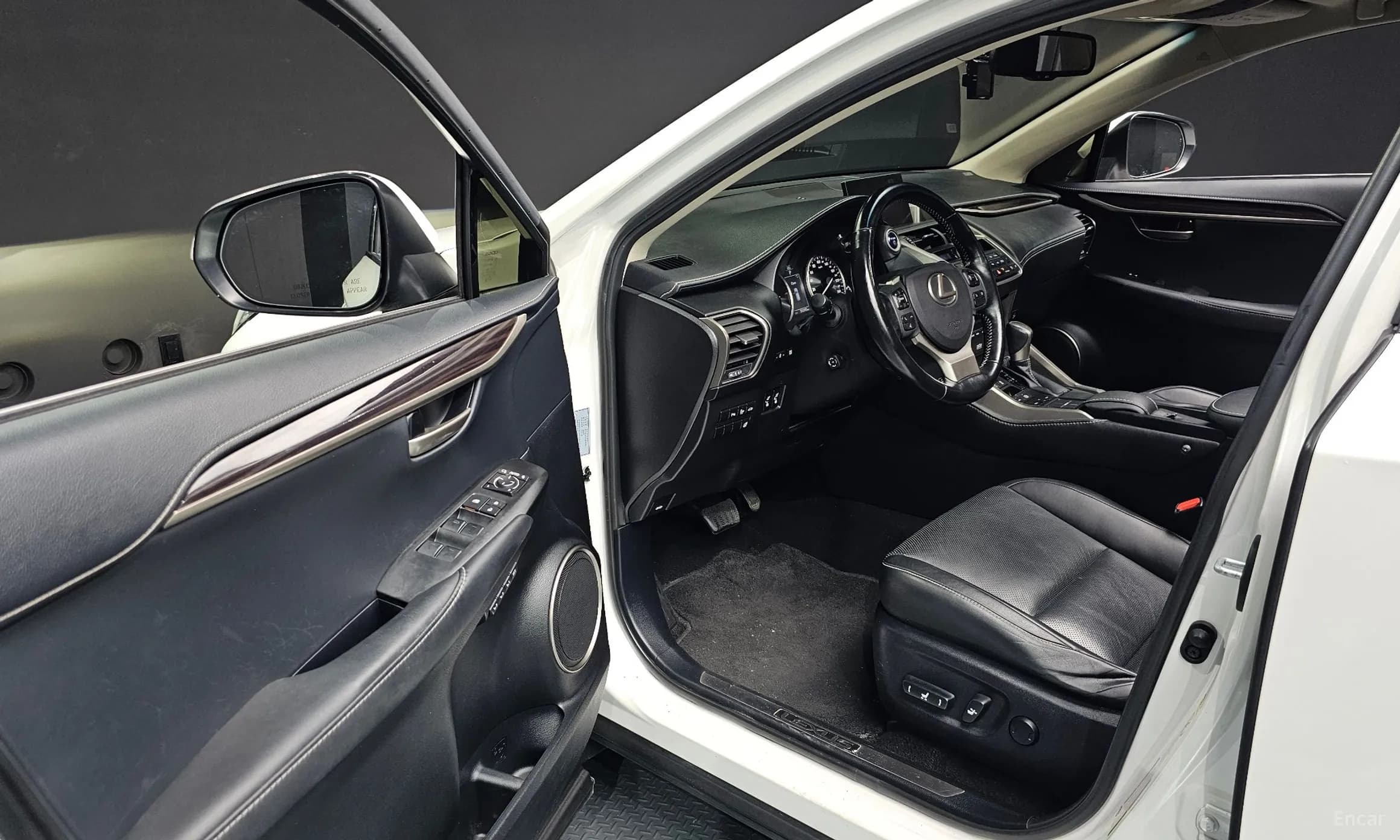 NX300h
