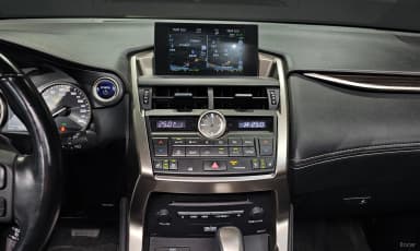 NX300h