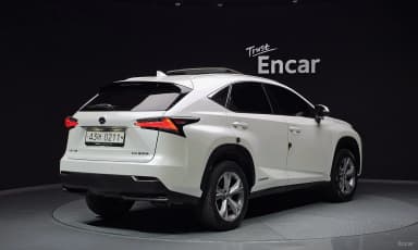 NX300h