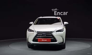 NX300h