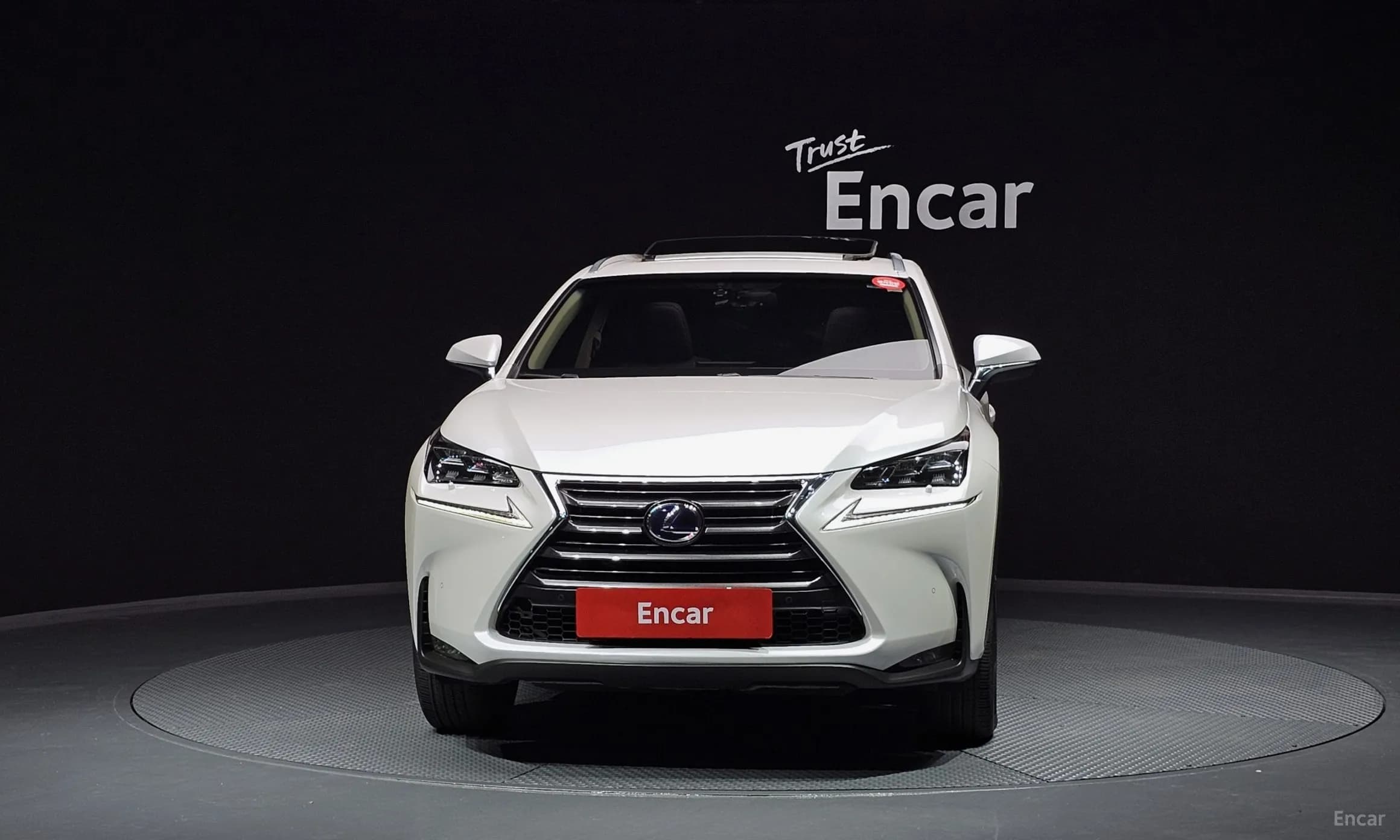 NX300h