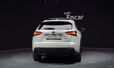 NX300h