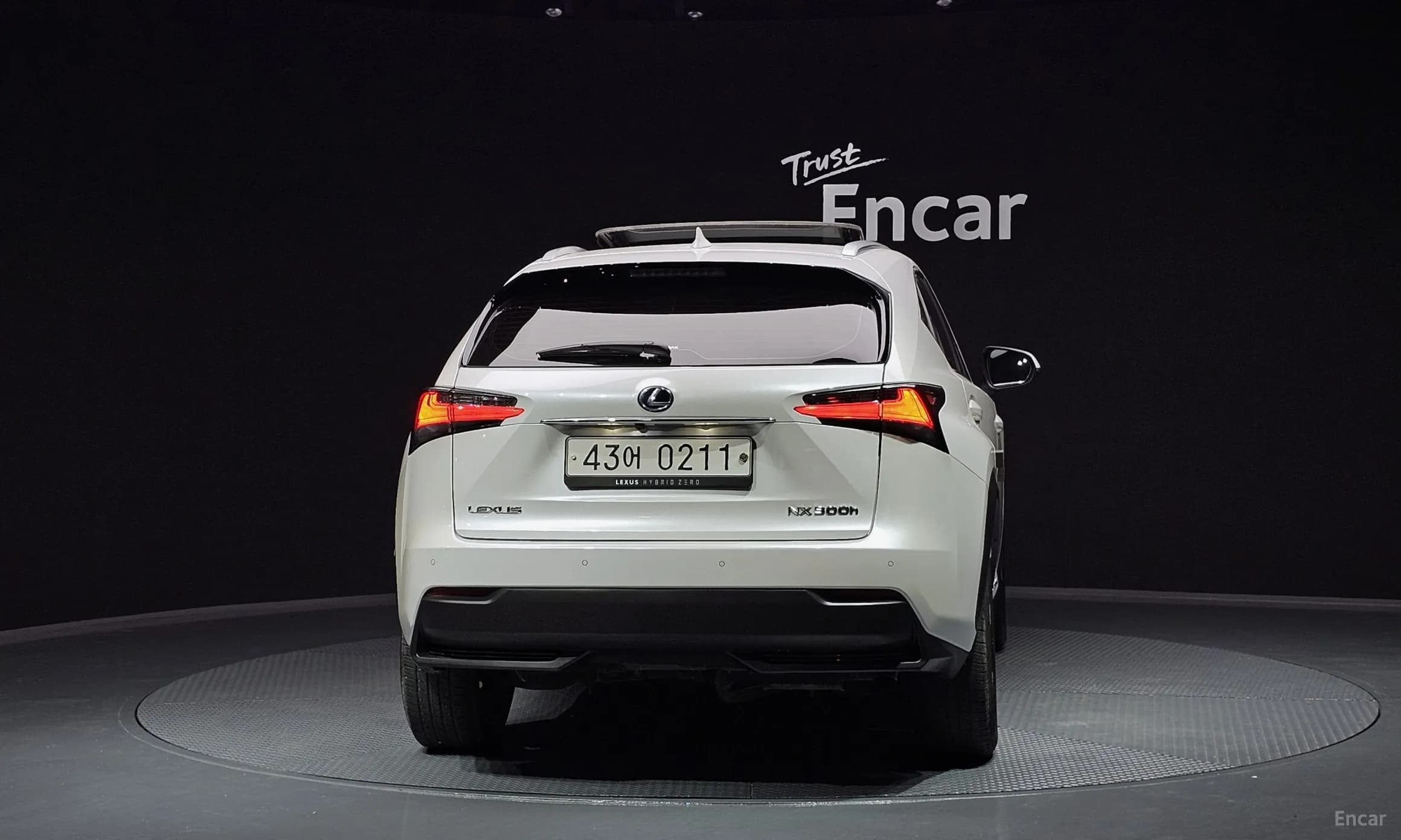 NX300h