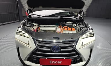 NX300h
