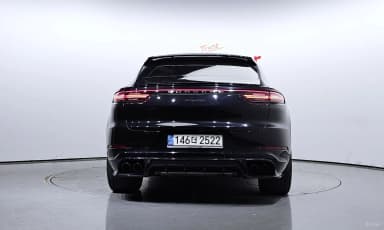 Cayenne (PO536)