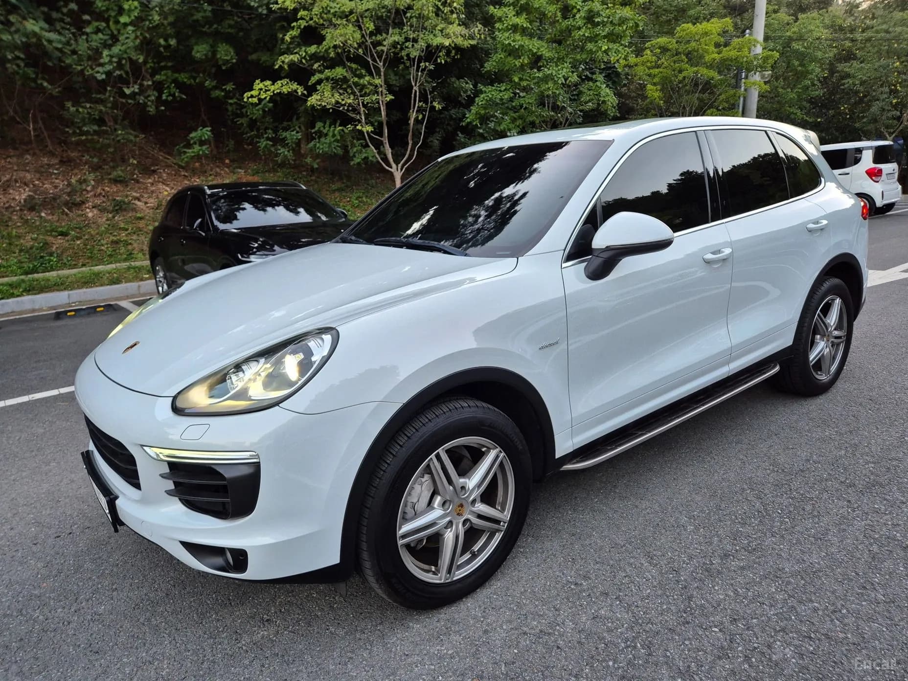New Cayenne