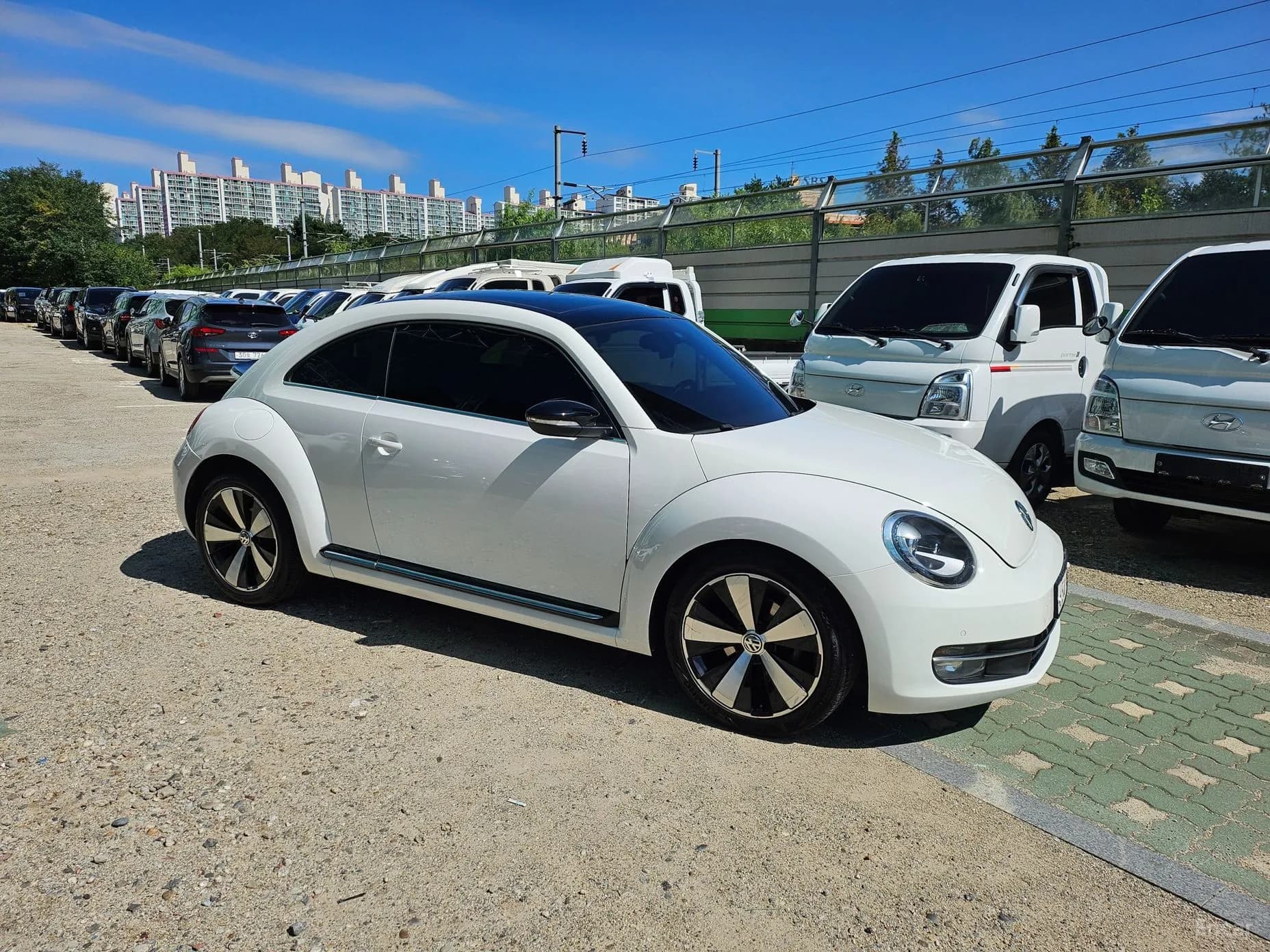 The Beetle