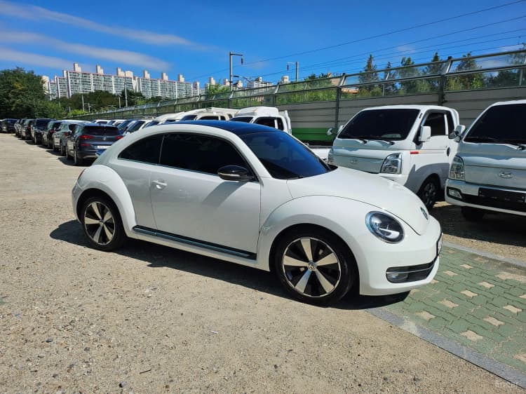 The Beetle