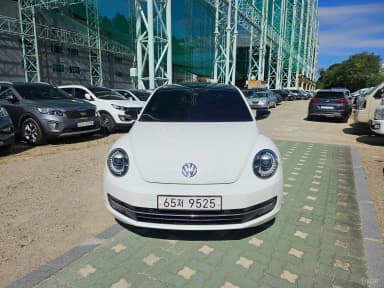 The Beetle