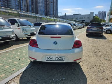The Beetle