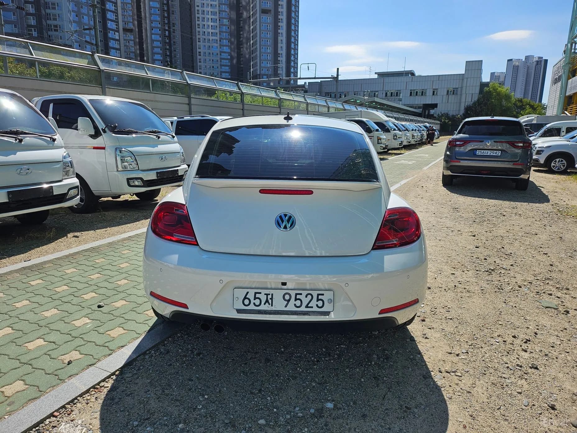 The Beetle