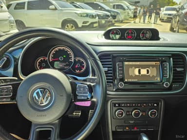 The Beetle