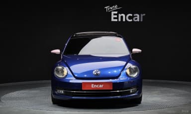 The Beetle