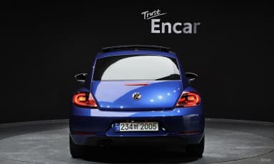 The Beetle
