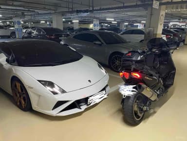 GALLARDO