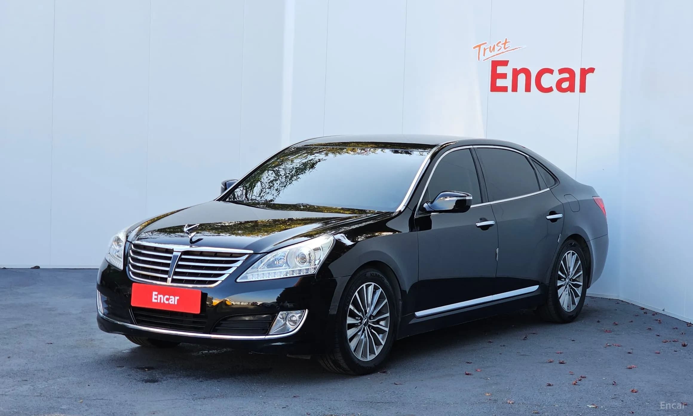 Equus (new)