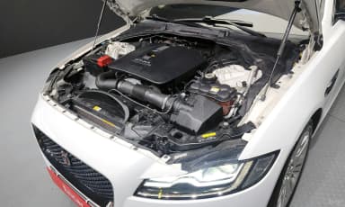 XF (x260)