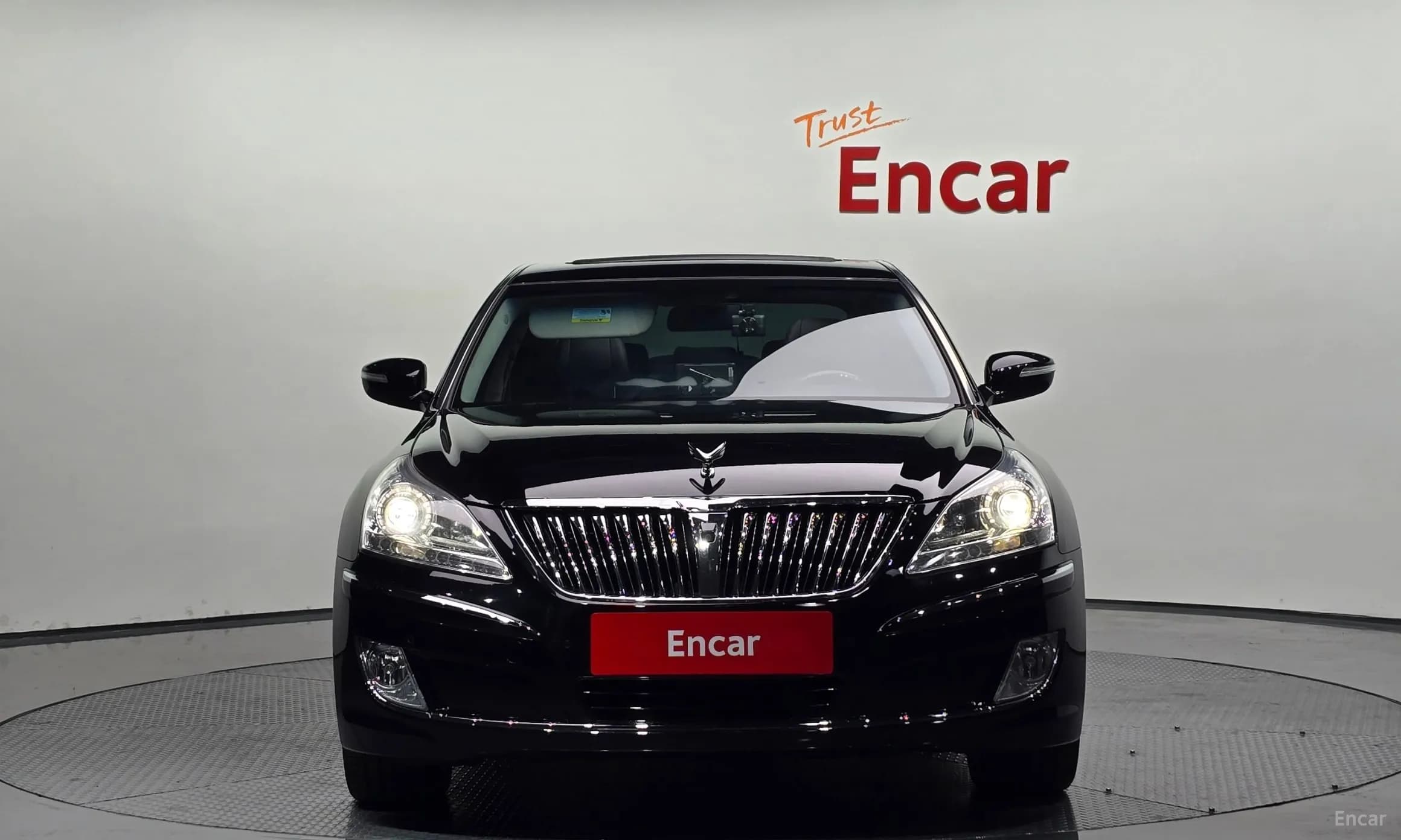 Equus (new)