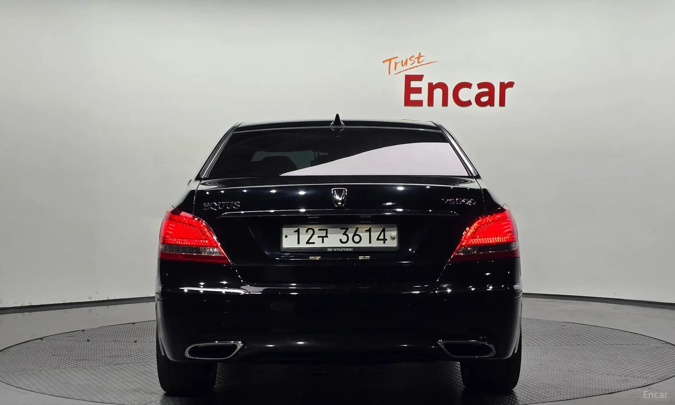 Equus (new)