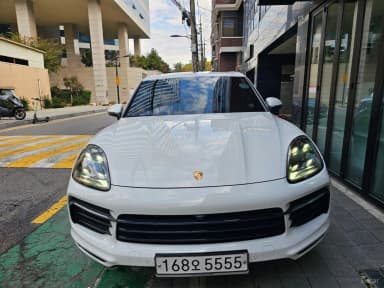 Cayenne (PO536)