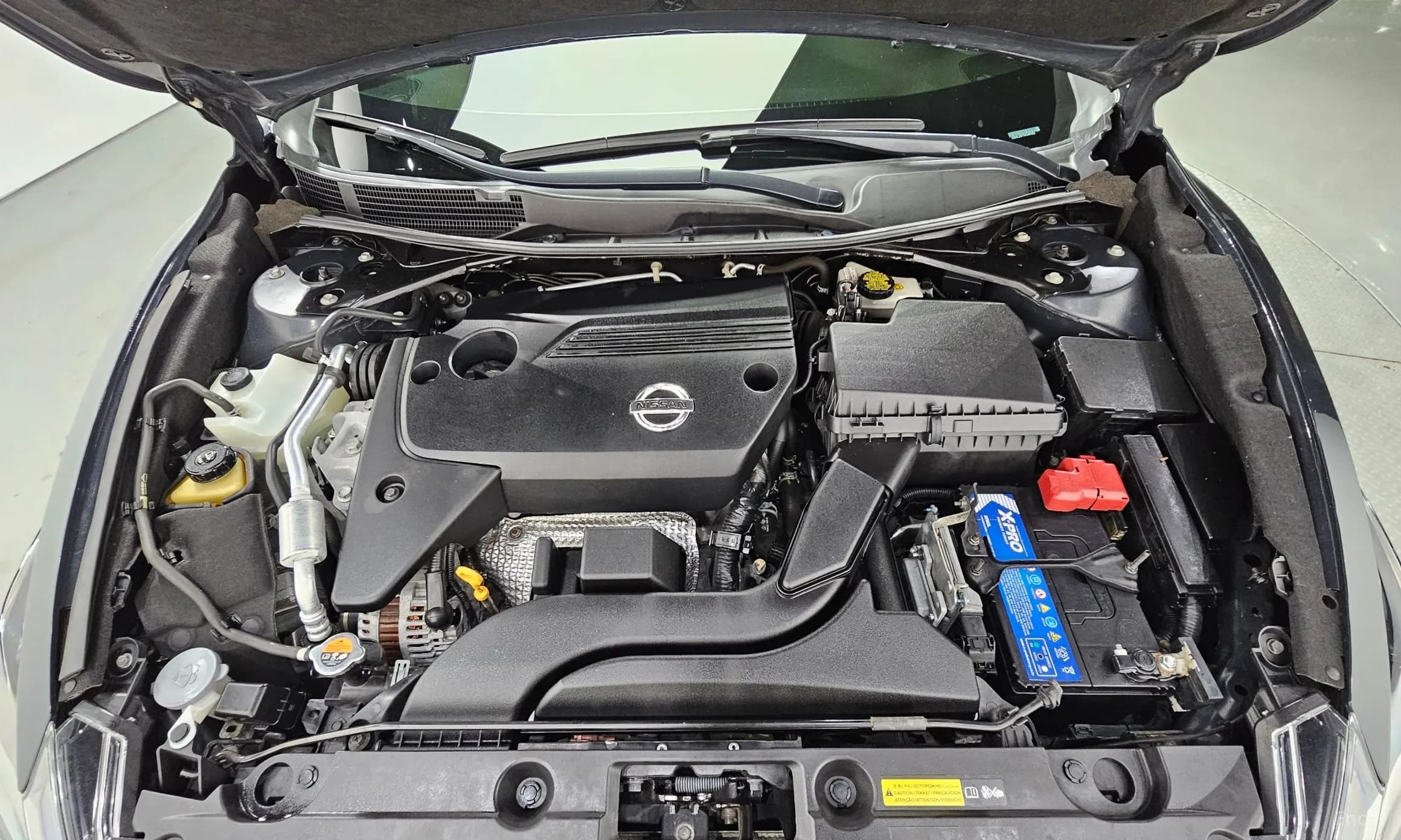 Altima