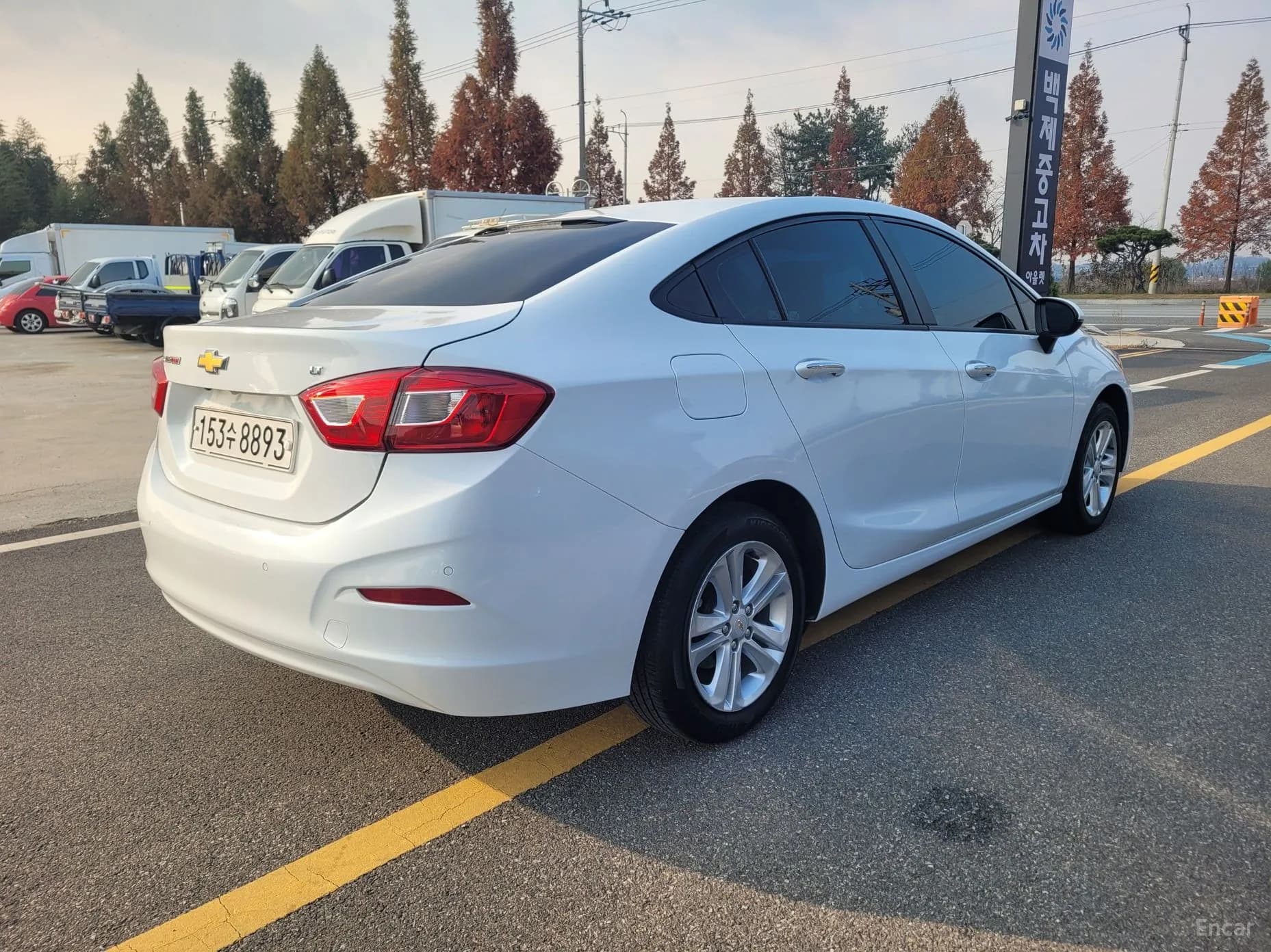 Cruze