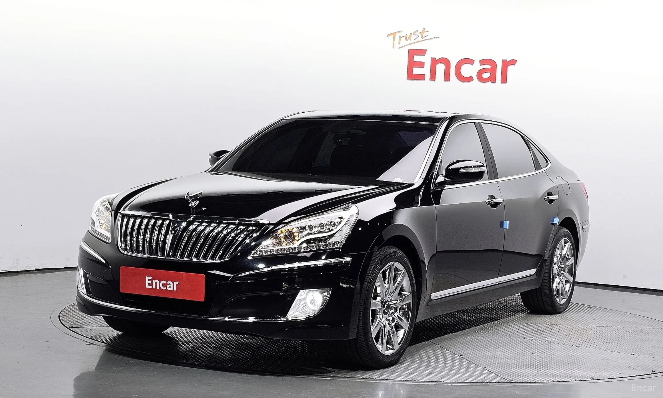 Equus (new)