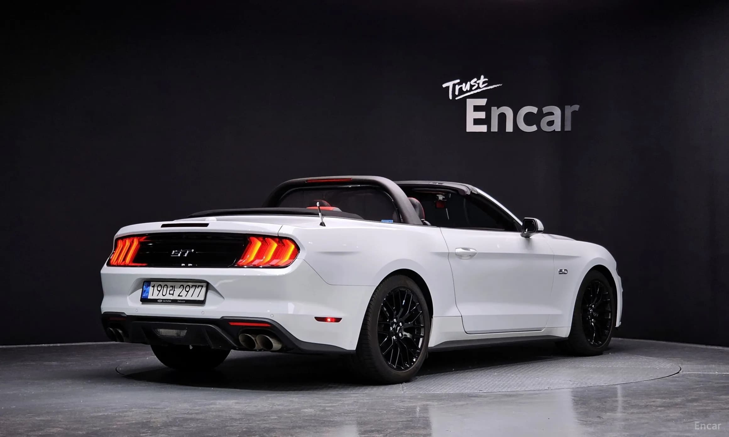 Mustang