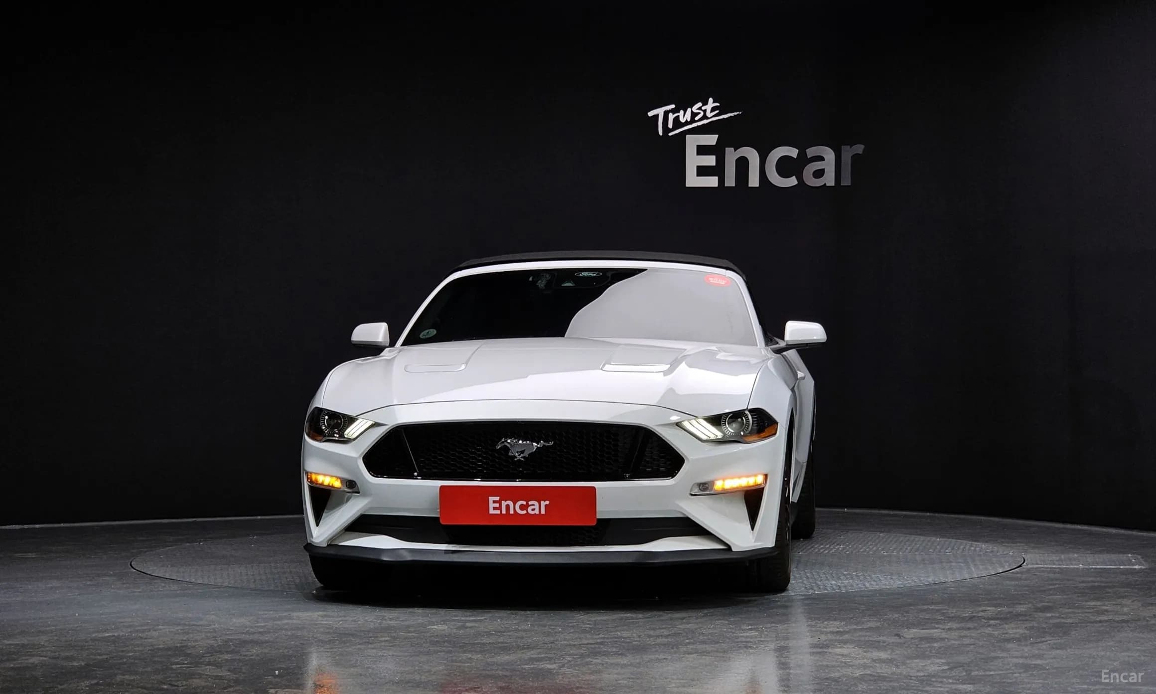 Mustang