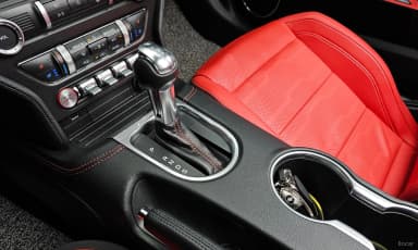 Mustang