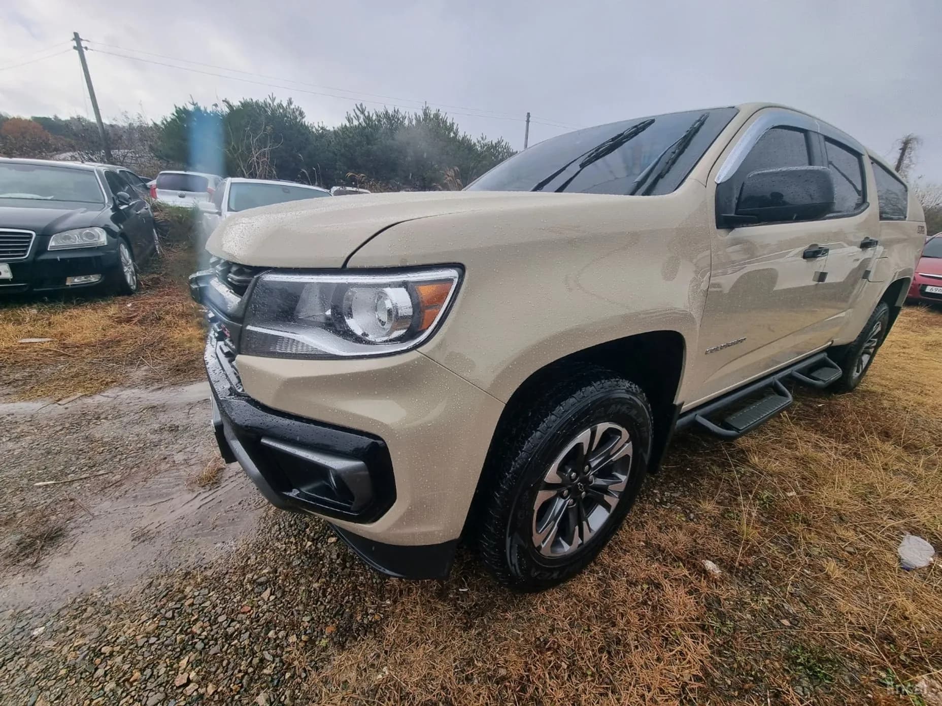 Real New Colorado