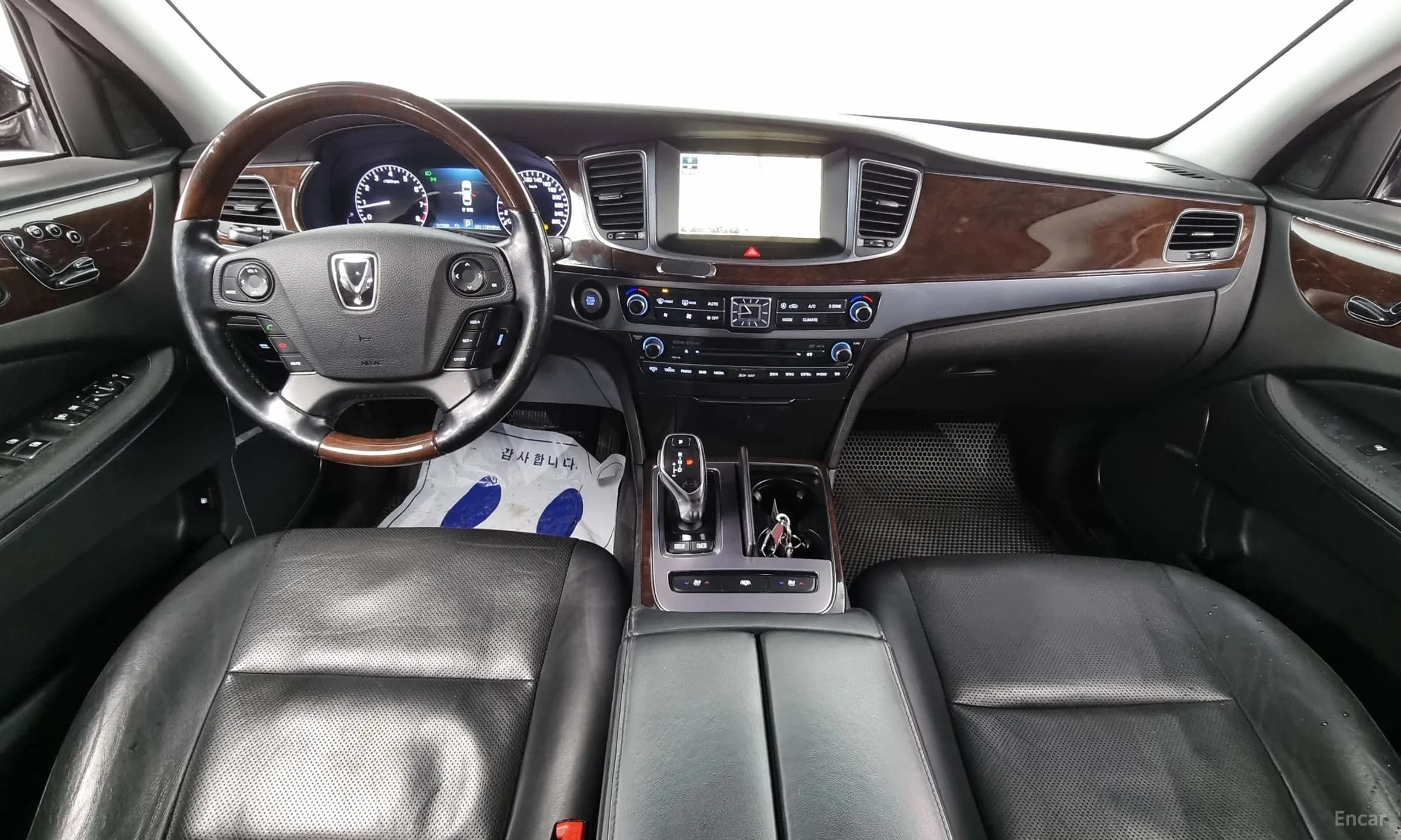 Equus (new)