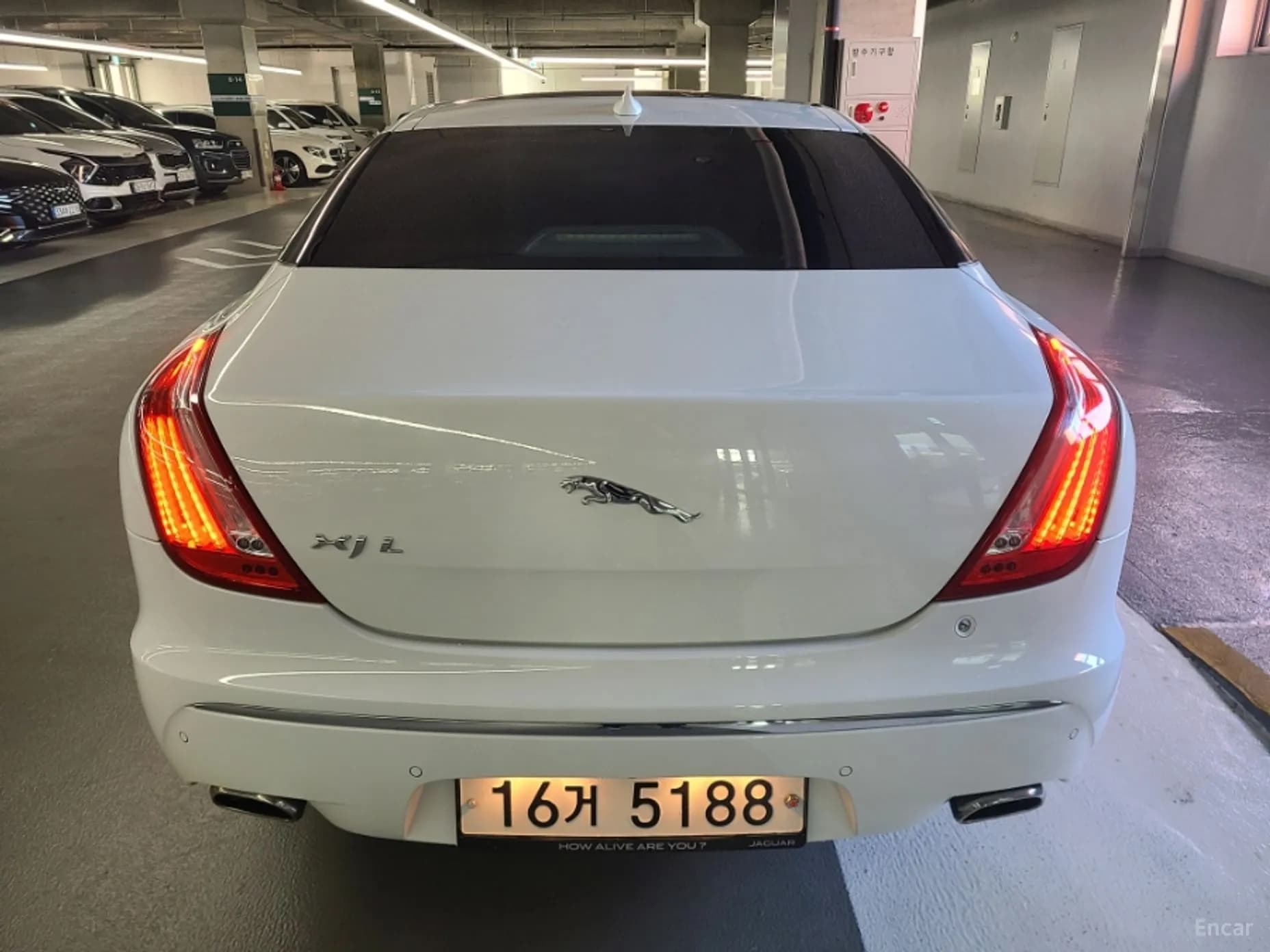 All New XJ