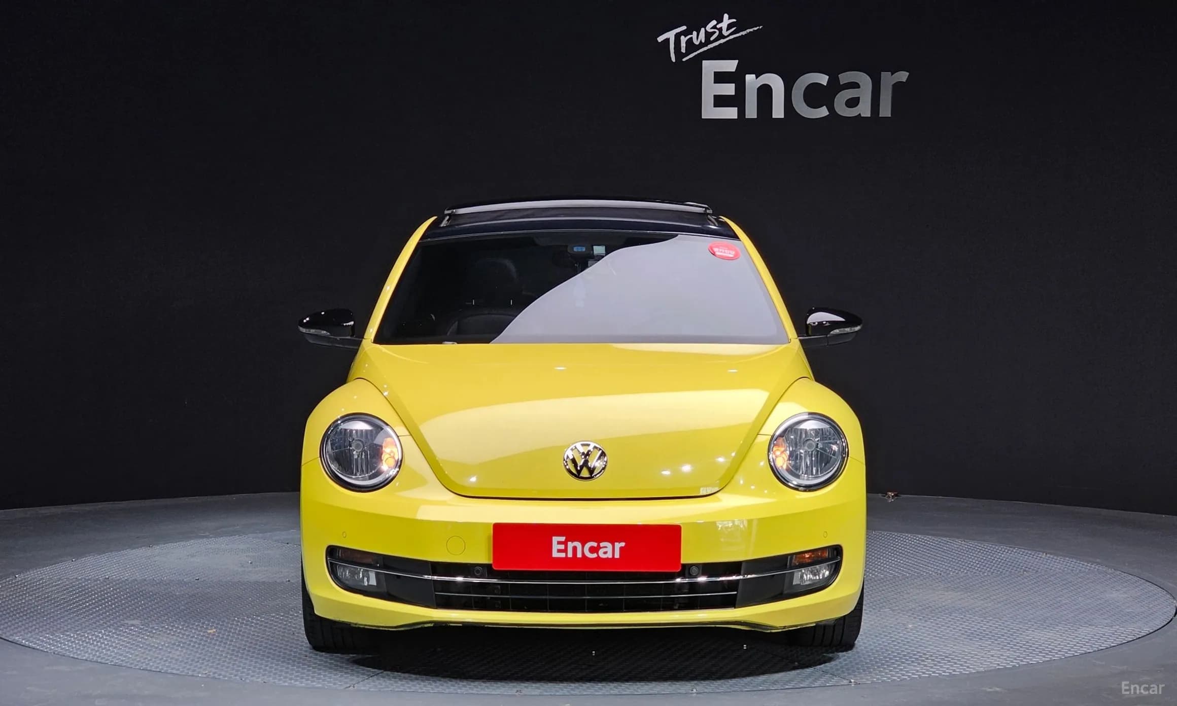 The Beetle