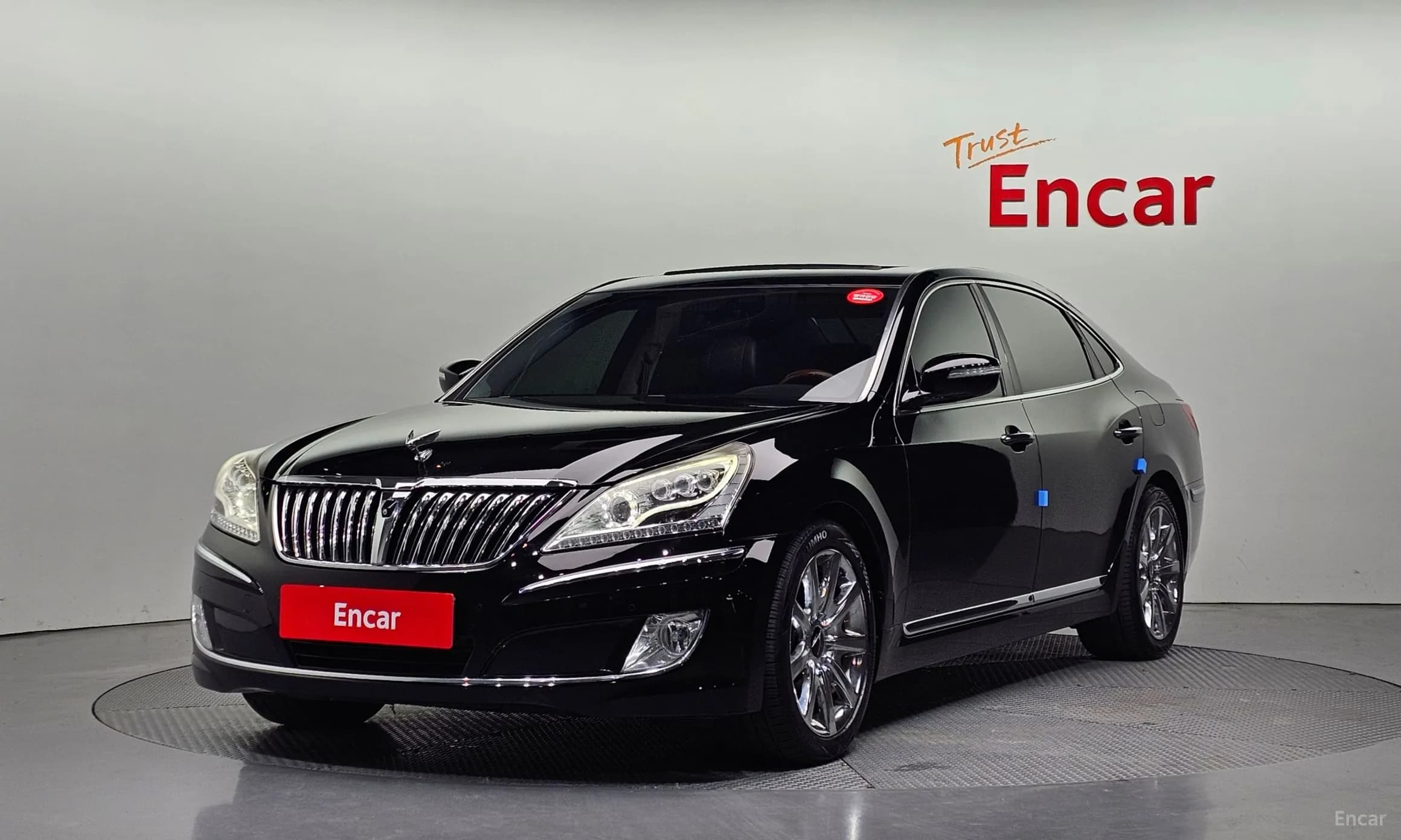 Equus (new)