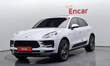Macan